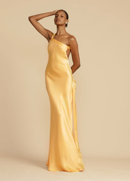 Selene | Gorgeous Maxi Dress