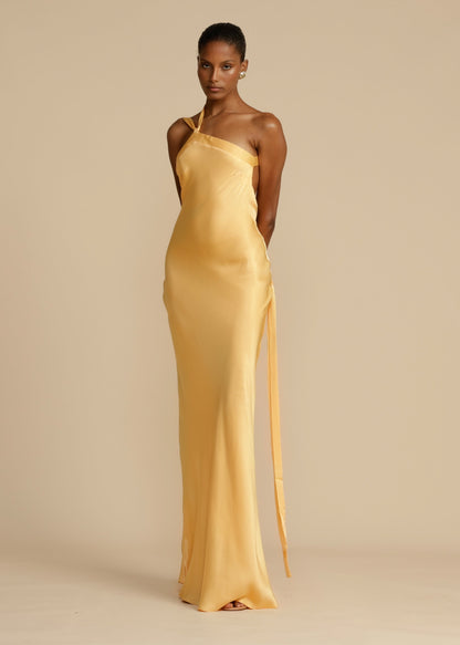 Selene | Gorgeous Maxi Dress