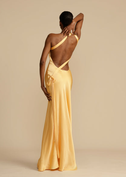 Selene | Gorgeous Maxi Dress